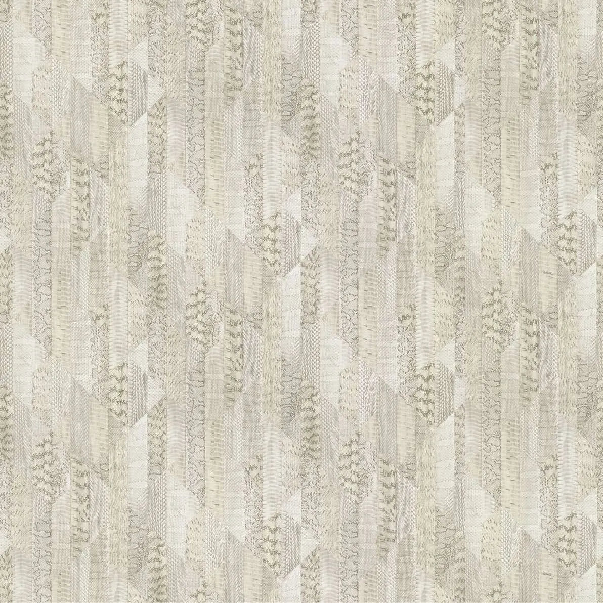 Roberto Cavalli Home No 8 - RC19069