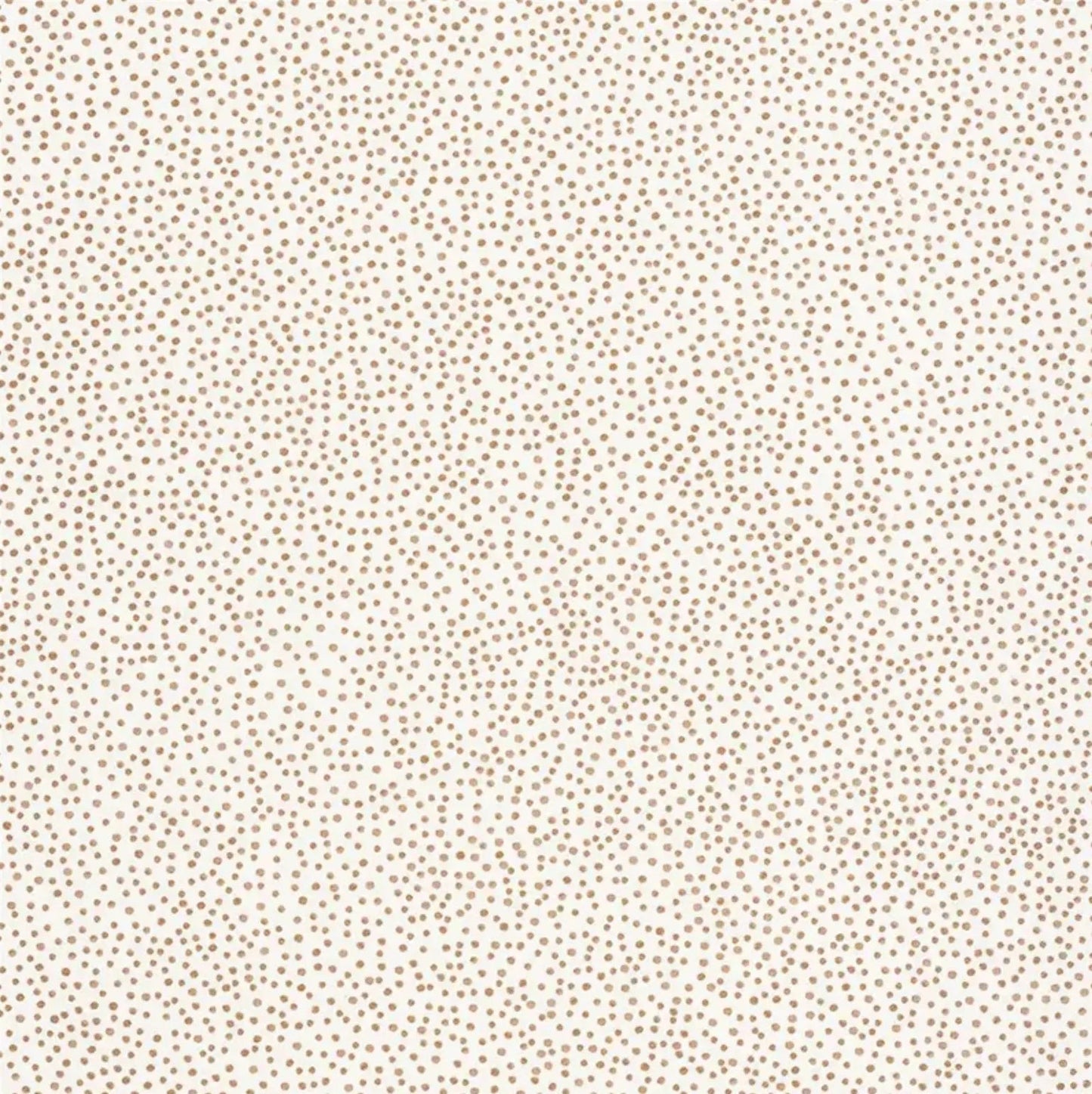 Closeup of a wallpaper showing its Dots, Neutrals pattern, color, and subtle texture.