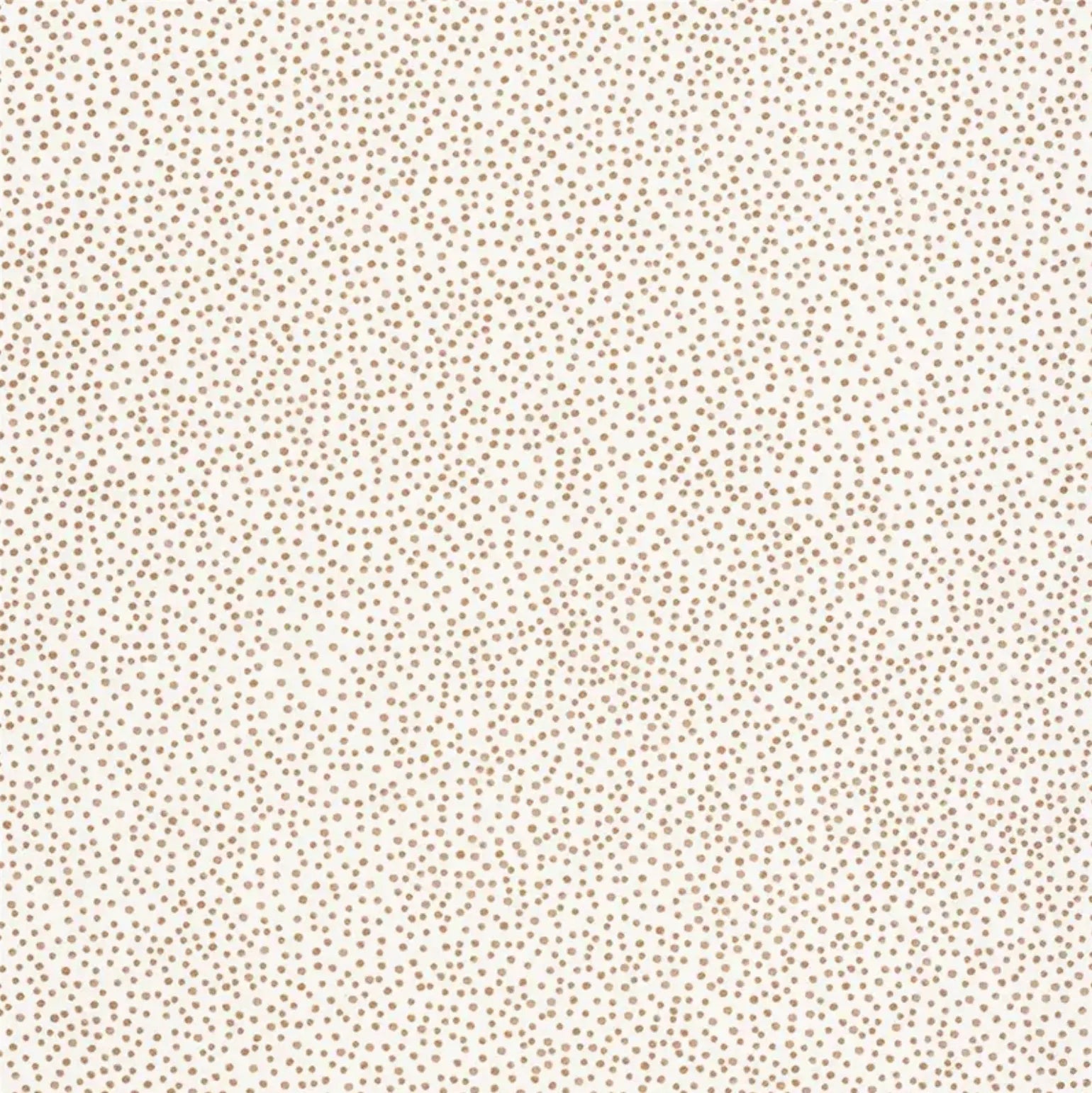 Closeup of a wallpaper showing its Dots, Neutrals pattern, color, and subtle texture.