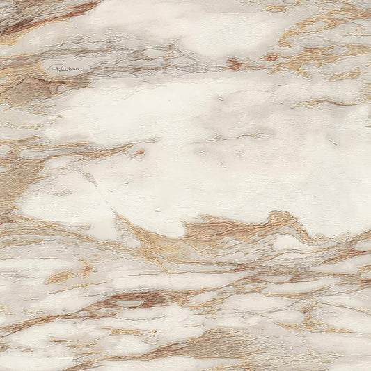 Roberto Cavalli Home No 9 - RC21021