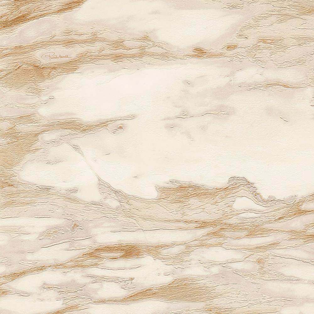 Roberto Cavalli Home No 9 - RC21024