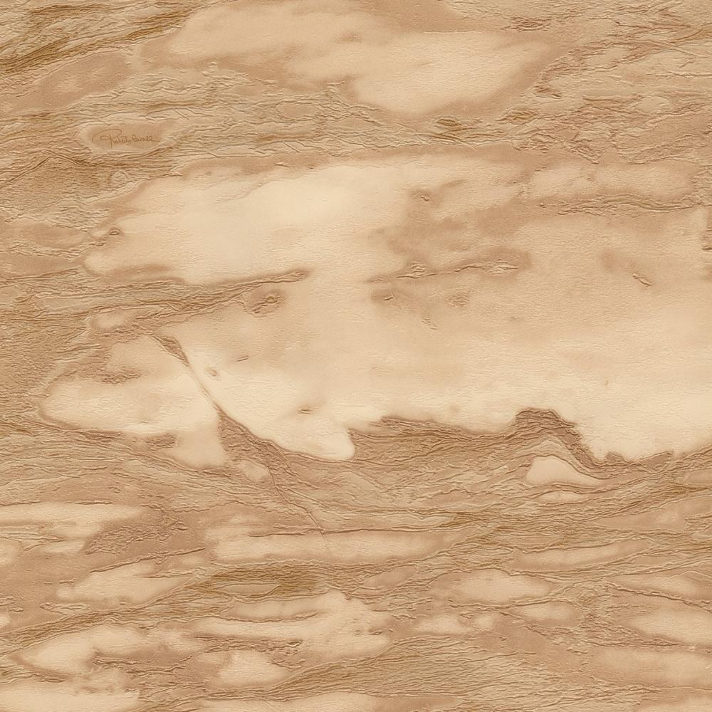 Roberto Cavalli Home No 9 - RC21029