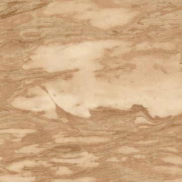 Roberto Cavalli Home No 9 - RC21029