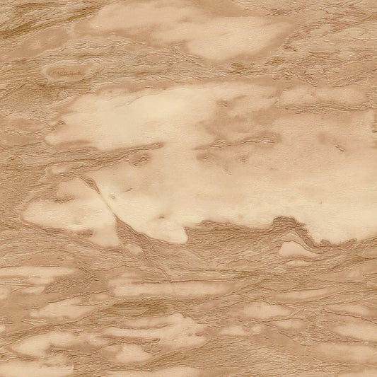 Roberto Cavalli Home No 9 - RC21029