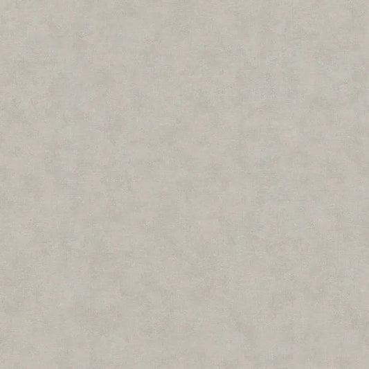 Closeup of a wallpaper showing its Contemporary, Neutrals, Unicolour pattern, color, and texture.