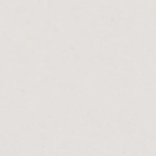 Closeup of a wallpaper showing its Contemporary, Neutrals, Unicolour pattern, color, and texture.