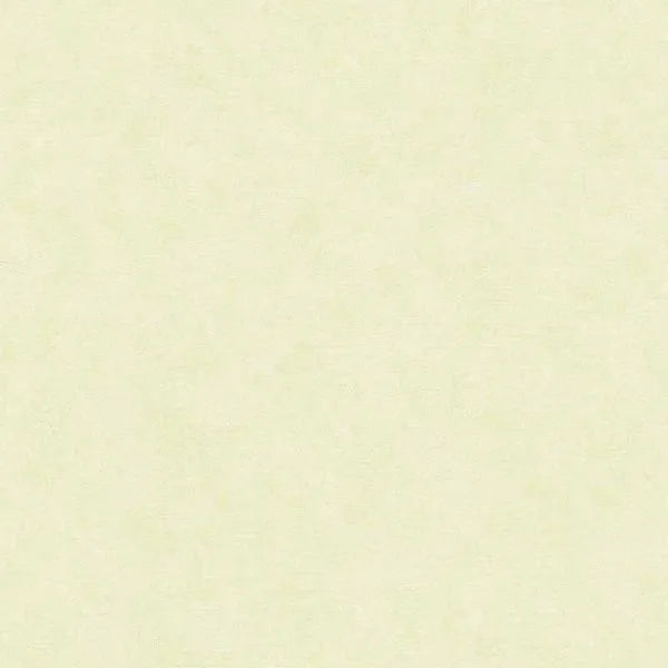 Closeup of a wallpaper showing its Contemporary, Pastels, Unicolour pattern, color, and texture.