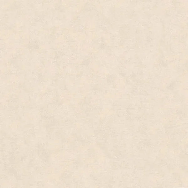 Closeup of a wallpaper showing its Contemporary, Neutrals, Unicolour pattern, color, and texture.