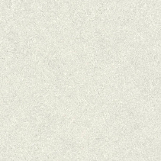 Closeup of a wallpaper showing its Beige, Cream, Grey, Pastels, Plain pattern, color, and subtle texture.
