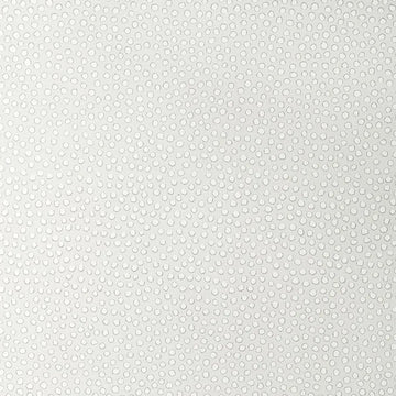 Closeup of a wallpaper showing its Contemporary, Dots, Kids, Monochrome, Two-tone pattern, color, and subtle texture.