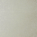 Closeup of a wallpaper showing its Best-Seller, Contemporary, Dots, Kids, Neutrals, Two-tone pattern, color, and subtle texture.