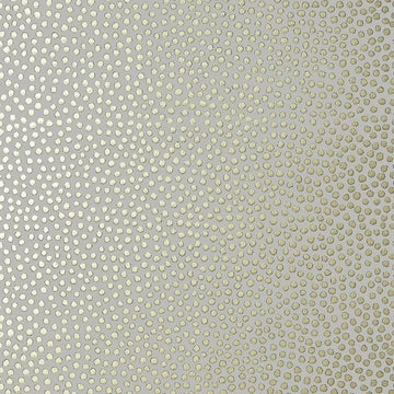 Closeup of a wallpaper showing its Best-Seller, Contemporary, Dots, Kids, Neutrals, Two-tone pattern, color, and subtle texture.