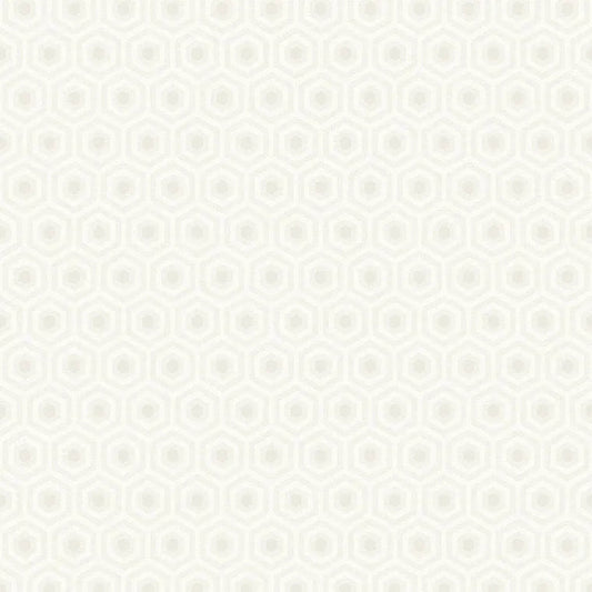 Closeup of a wallpaper showing its Art-Deco, Contemporary, Geometric, Monochrome, Unicolour pattern, color, and subtle texture.