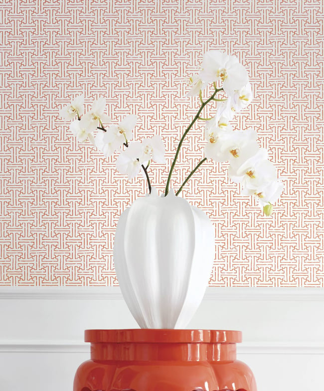 Thibaut Taza T35166