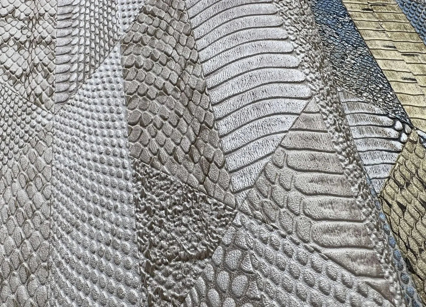 Roberto Cavalli Home No 8 - RC19066