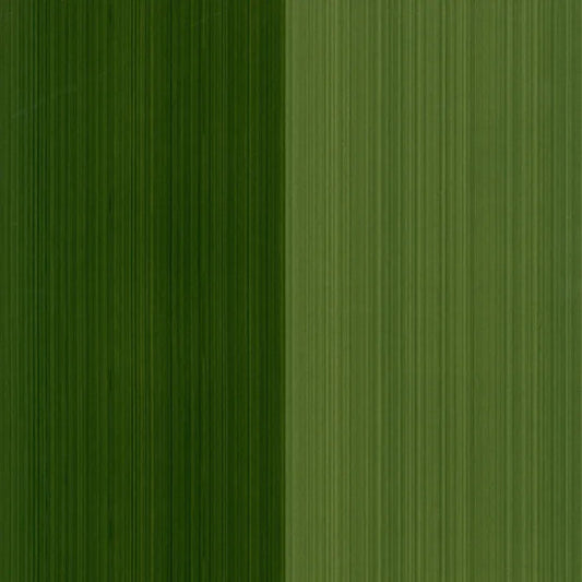Closeup of a wallpaper showing its Contemporary, Green, Stripes, Two-tone pattern, color, and subtle texture.