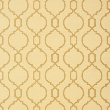 Thibaut Cortney T11072