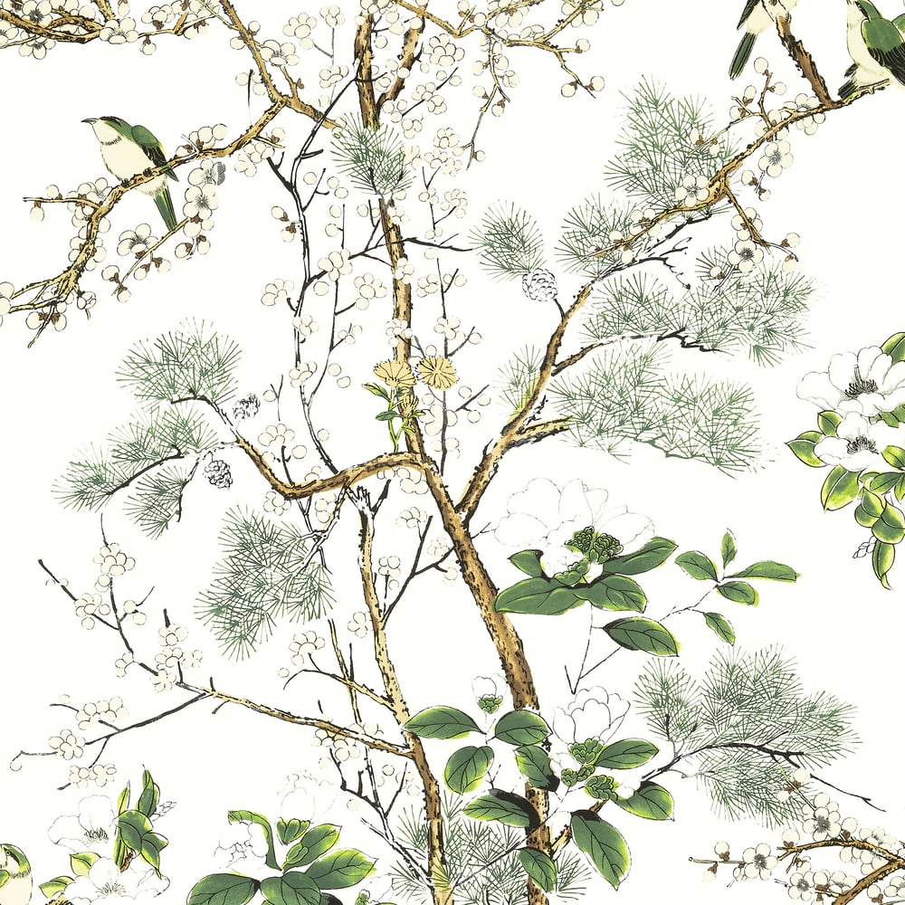 Thibaut Katsura T13621