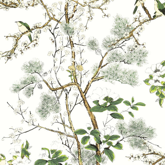 Thibaut Katsura T13621