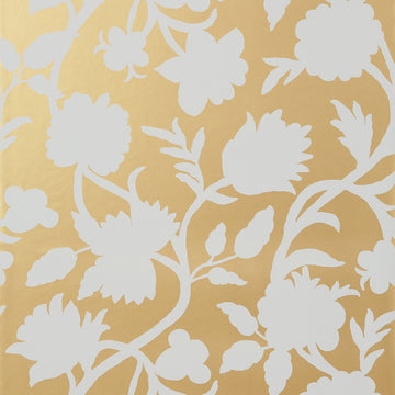 Thibaut Cabrera T35156