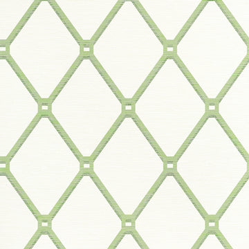 Thibaut Easom Trellis T4051