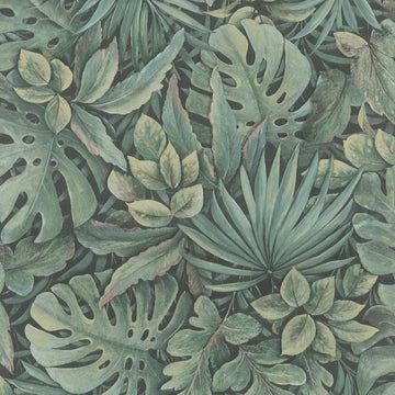 Marburg Botanica 33304 wallpaper with dense tropical olive-green leaves on a dark ground.