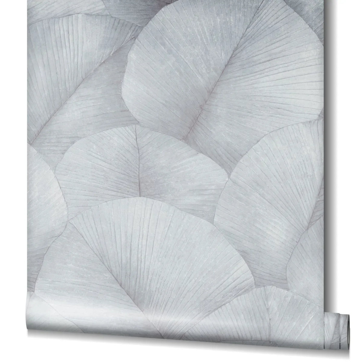Marburg Kumano 34512 Partially unrolled wallpaper roll showing large overlapping leaf motifs in light gray on a white studio background.