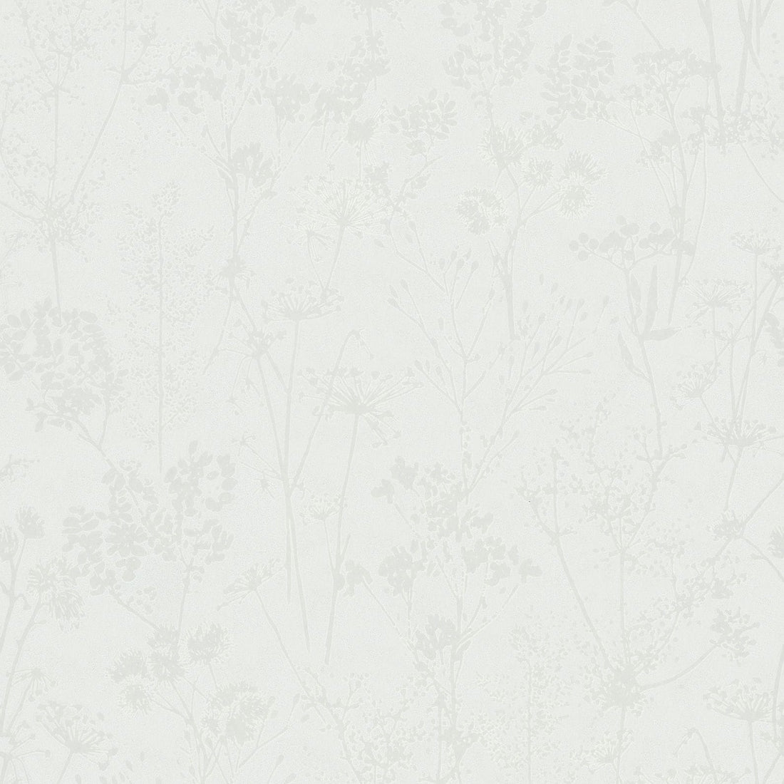 Marburg Mona 82462 white botanical blossom wallpaper close-up.