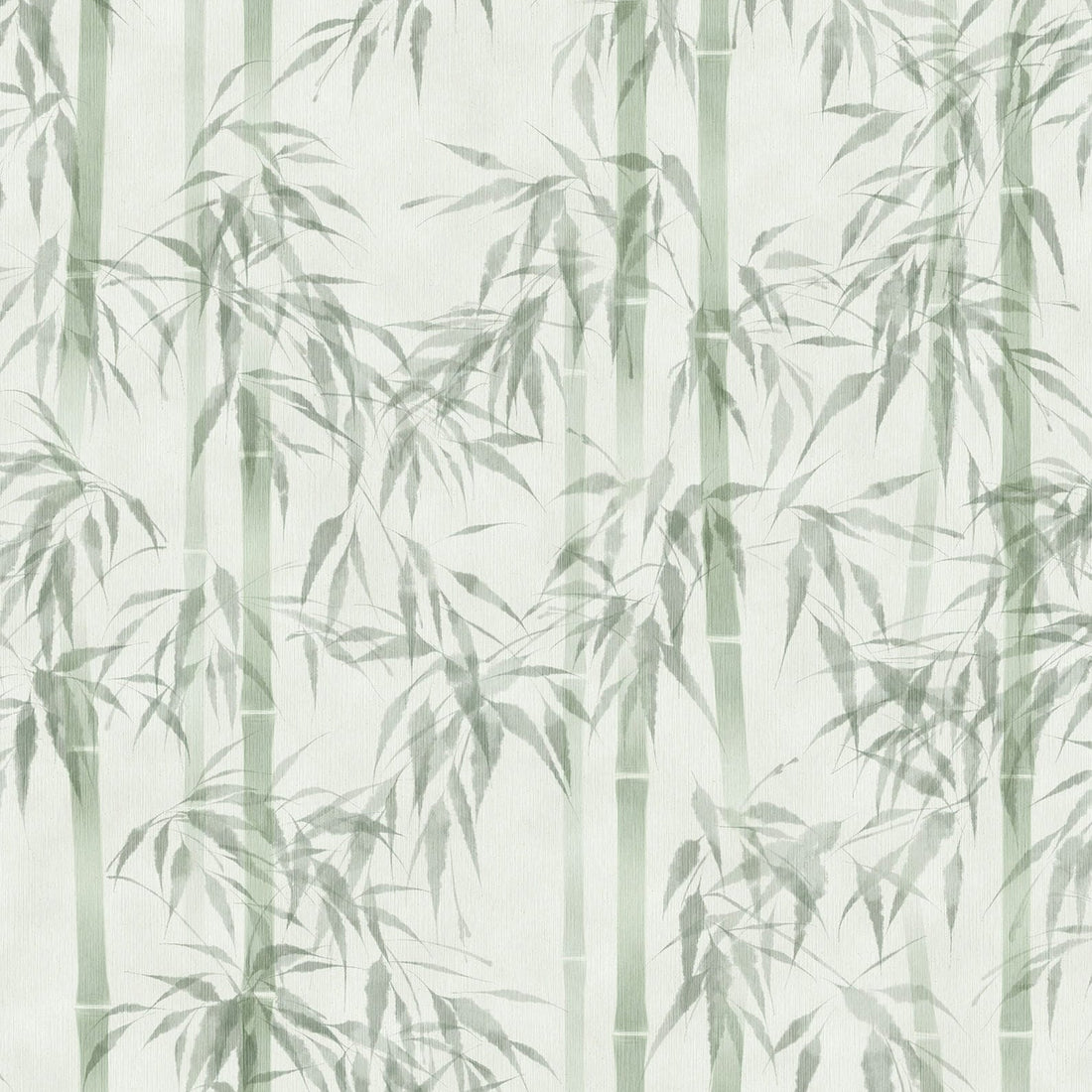 Marburg Novamur Mona 81674 wallpaper with soft green bamboo on a white background