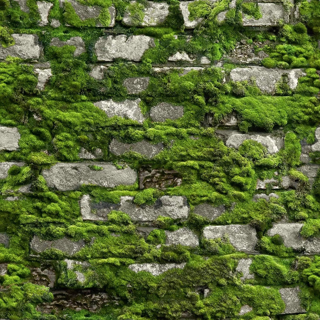 Marburg Struktura 45731 moss-covered stone wall effect wallpaper in deep forest green.