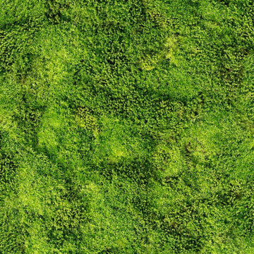 Marburg Struktura 45733 olive-green moss-like botanical wallpaper with dense small-leaf texture.