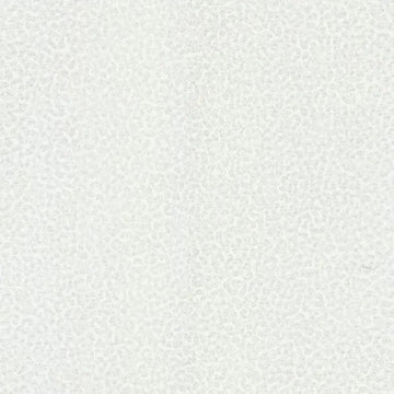 Closeup of a wallpaper showing its Luxury, Monochrome, Textures, Vinyl, White pattern, color, and subtle texture.