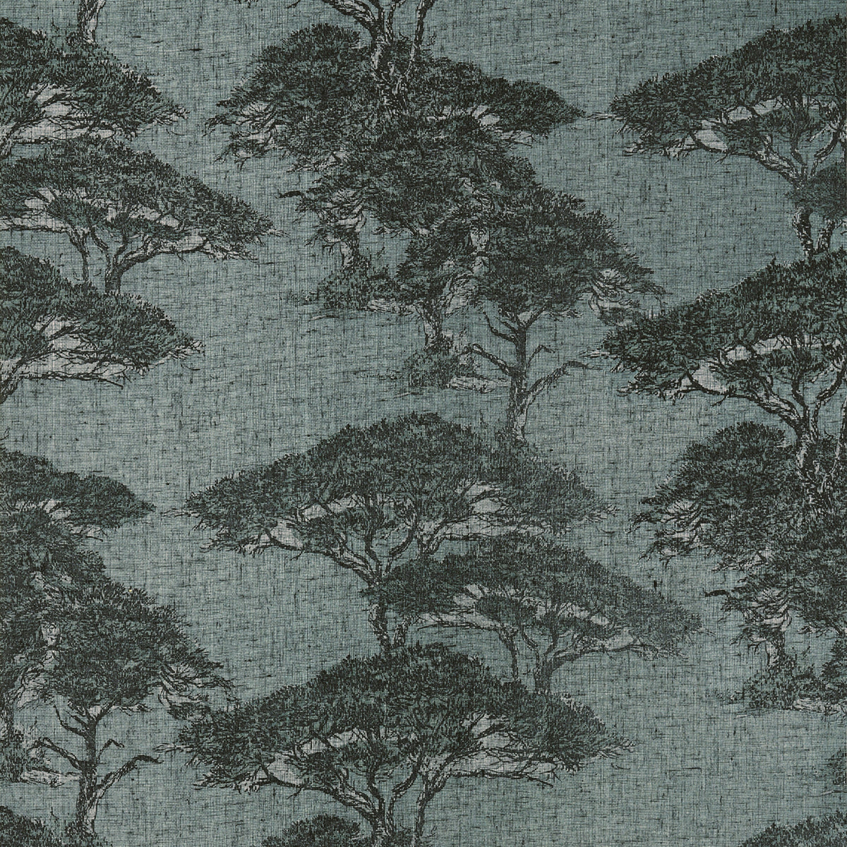 Thibaut Torrey Pines wallpaper in Mineral T24434 with layered pine trees on a dusty blue linen-mesh texture.