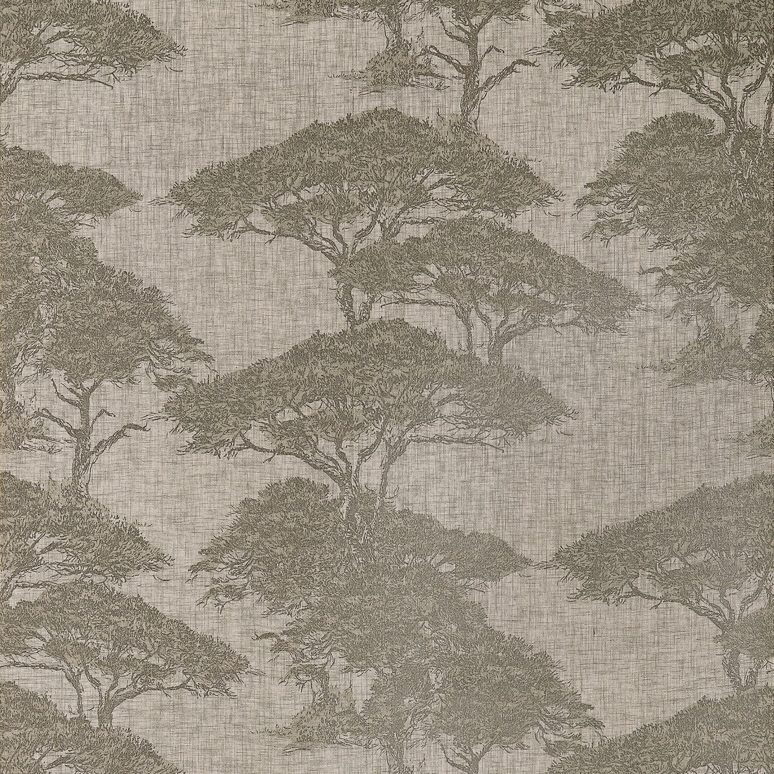 Thibaut Torrey Pines wallpaper in beige and black with layered pine tree motif over a linen mesh texture.