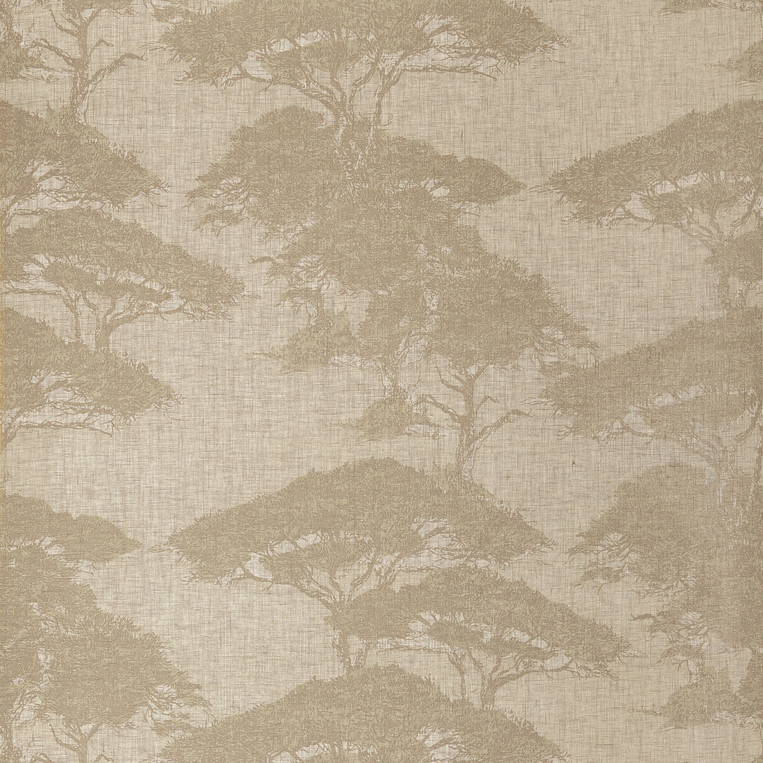 Thibaut Torrey Pines Champagne T24436 wallpaper with large-scale tree silhouettes over a warm beige linen mesh texture