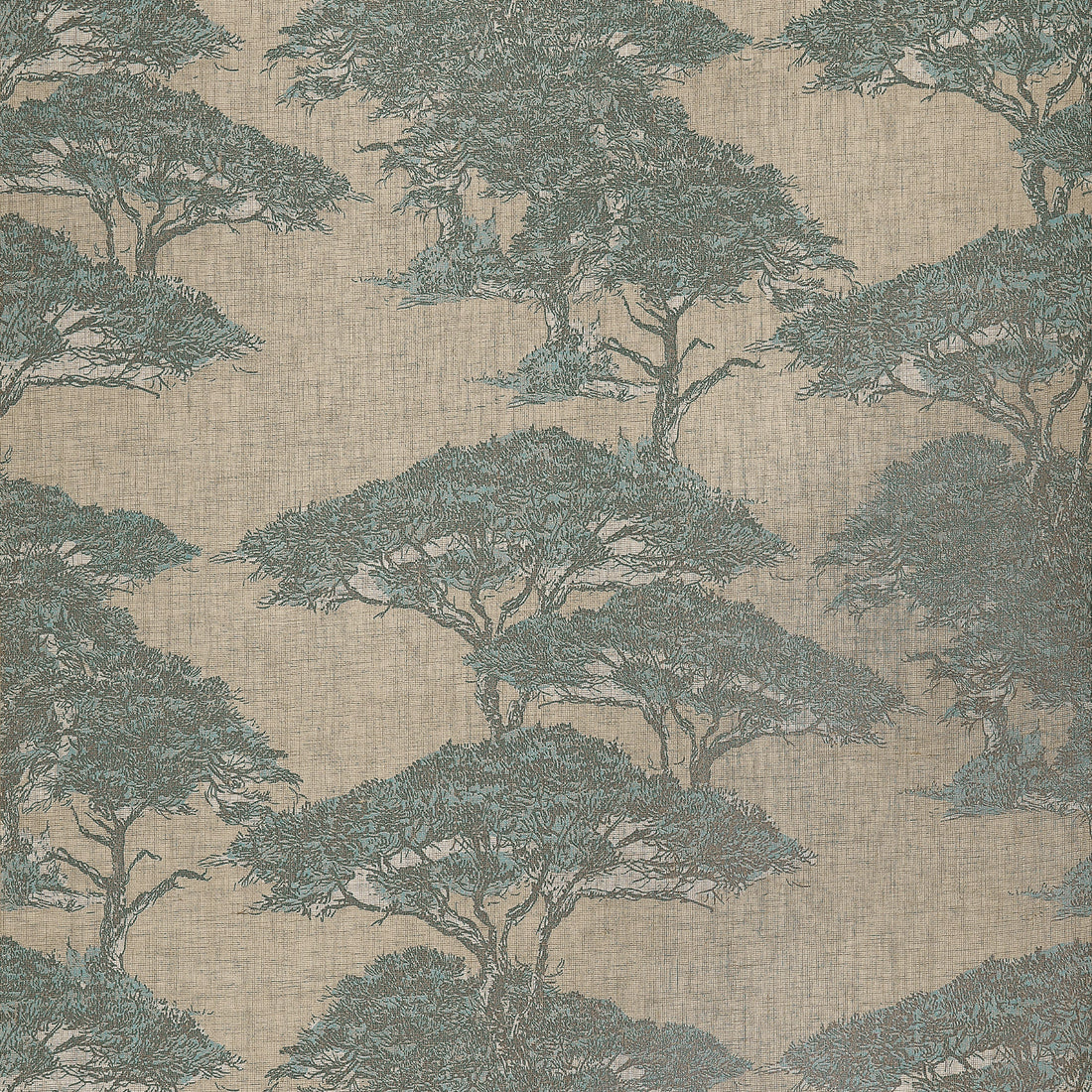 Thibaut Torrey Pines wallpaper in Spa Blue with large-scale pine trees over a natural linen mesh background.