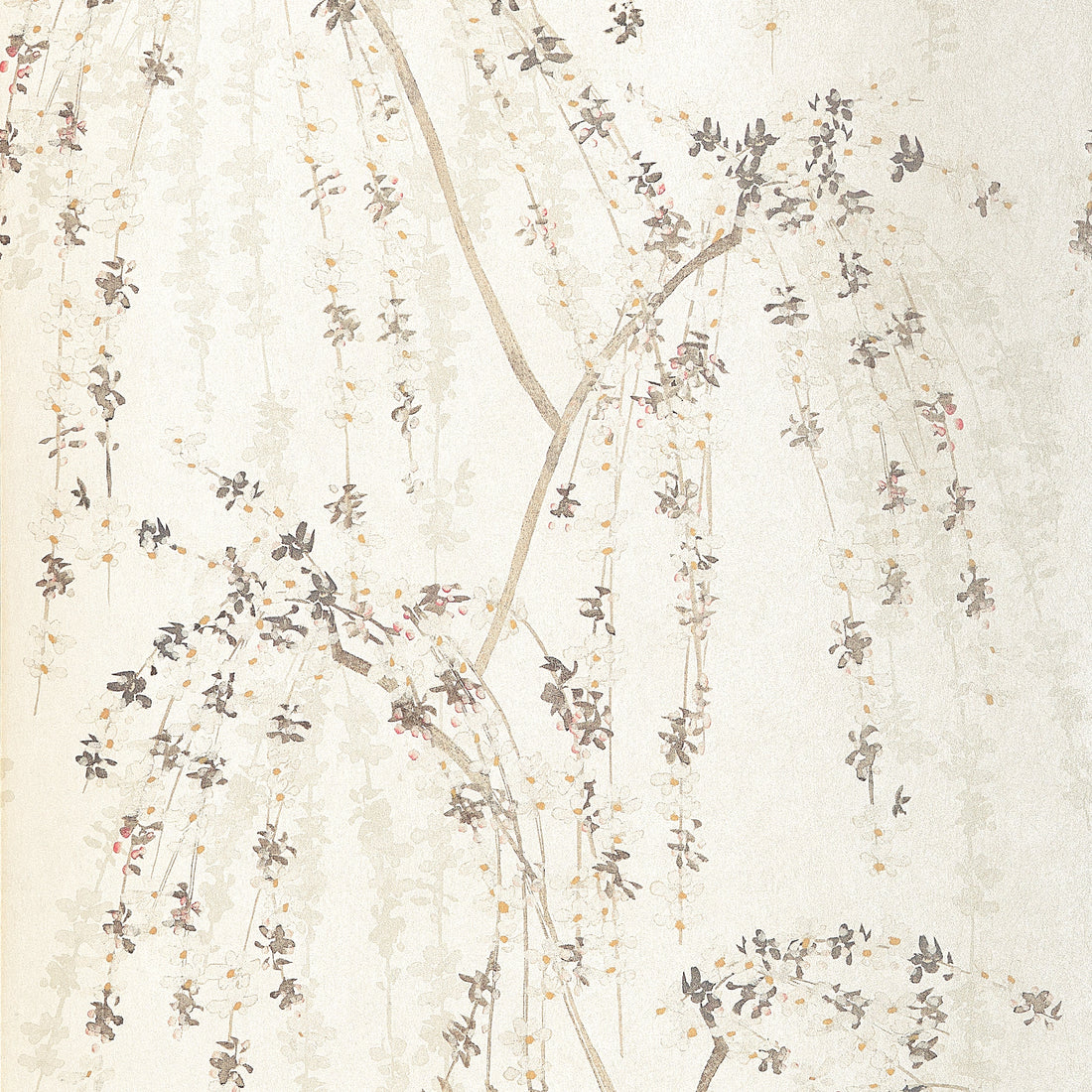 Thibaut Weeping Blossom T24454 wallpaper in White with trailing cherry blossom branches on a warm cream ground.